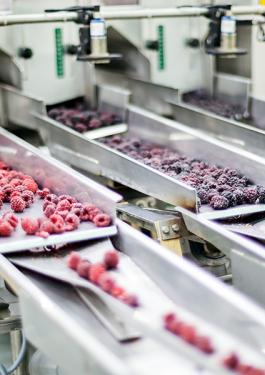Food Manufacturing and Processing